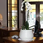 Otel Hotel Jesolo Sand